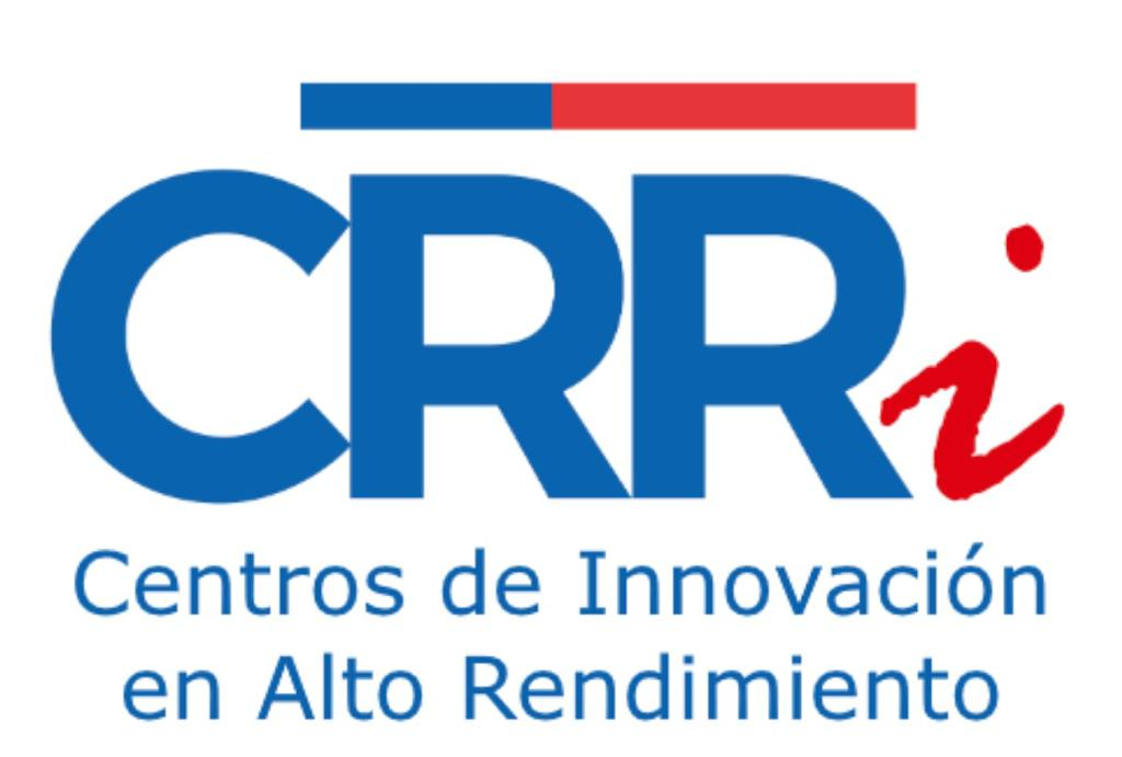 project name